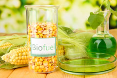 New End biofuel availability